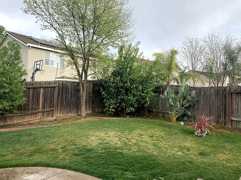 9625 Cedar Oak Way — Photo 19