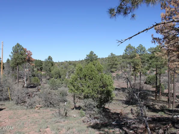 1663 Cactus Flower Rd, Show Low, AZ 85901