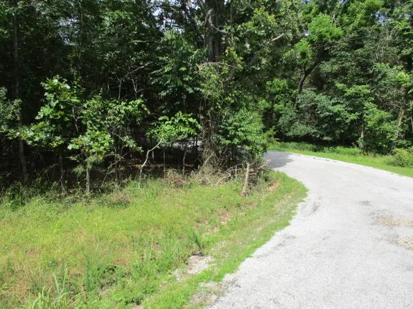 54, 1, 2 Catfish Ave., Golden, MO 65658