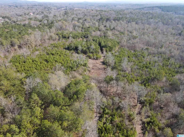 0 Cunningham Ln #0, Eastaboga, AL 36260