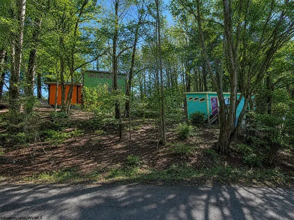 142 Jacob Pase St, Thomas, WV 26292