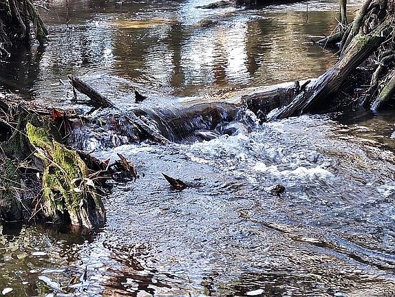 5th image of 8600 Two Mile Rd