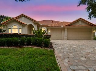 10218 Waterside Oaks Dr, Tampa, FL 33647