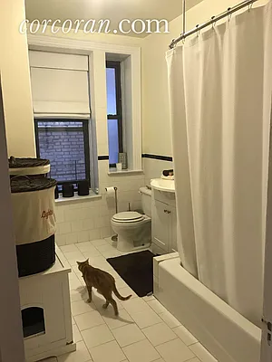 Rented by Corcoran | media 13