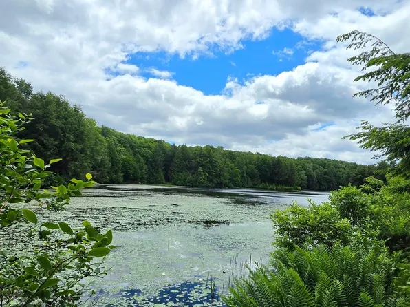 PARCEL 80 Deep Hollow Run Lot 9, Muncy Valley, PA 17758