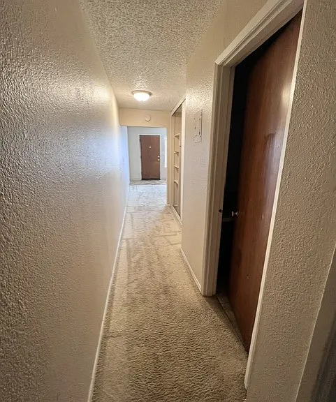 Cinebar Apartments — Photo 6