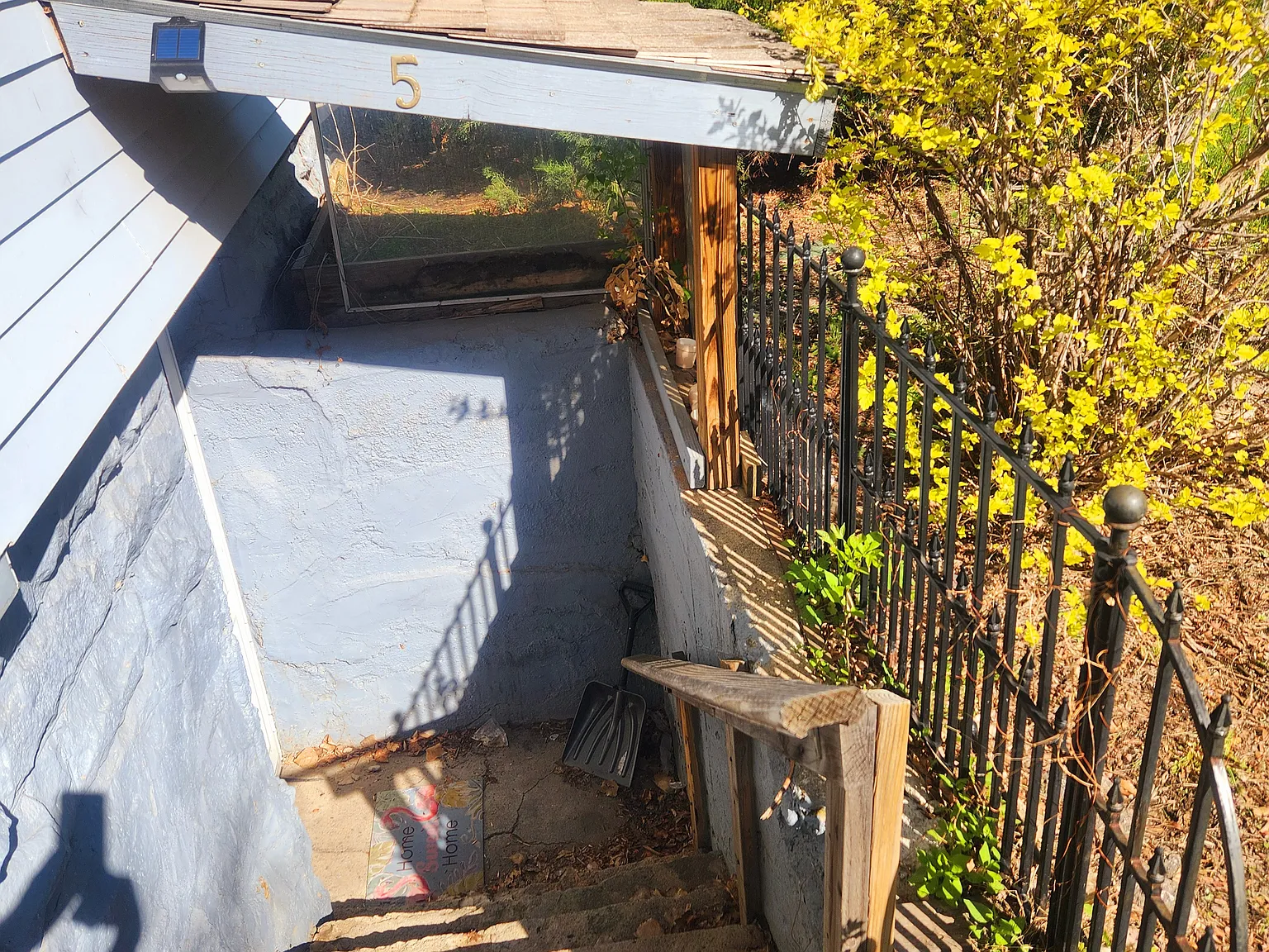 1 bed, $900 — Photo 3
