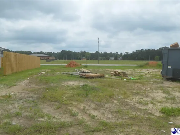 1265 Egrets Point, Hartsville, SC 29550