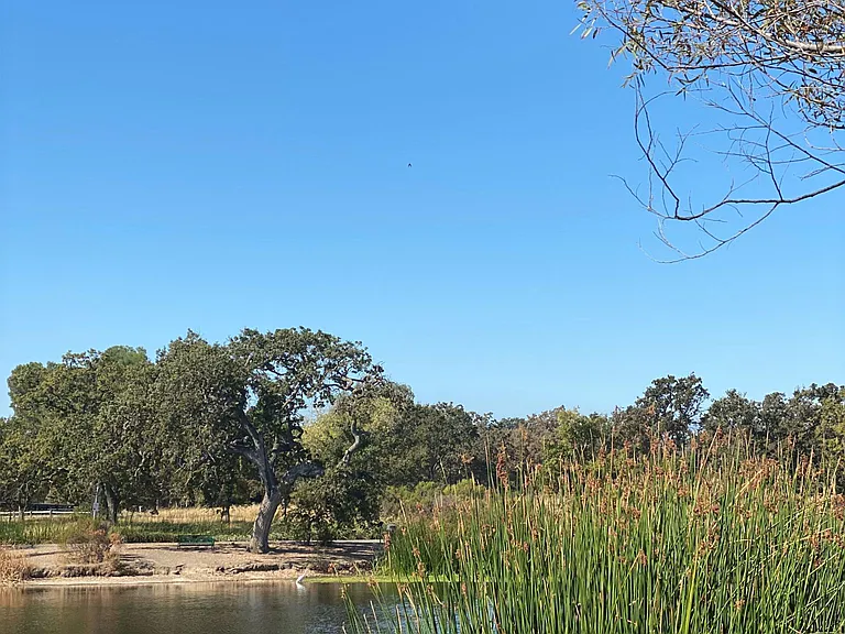Heather Farm Pond