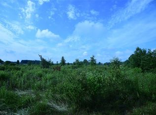 Tallmadge Rd, Rootstown, OH 44272