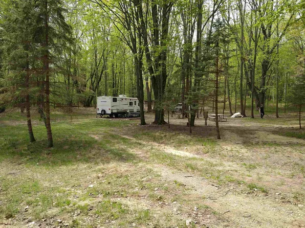 5448 Oak Run Run, Farwell, MI 48622