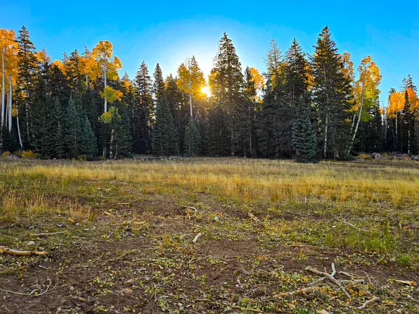 Elk Meadows Rd, Beaver, UT 84713