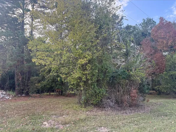 0 Silver Hickory Dr Lot 216, Coldspring, TX 77331