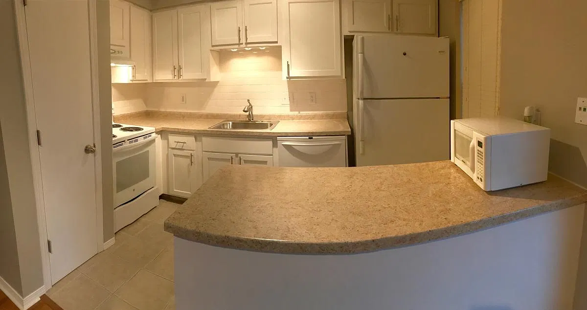 1 bed, $1,100 — Photo 4