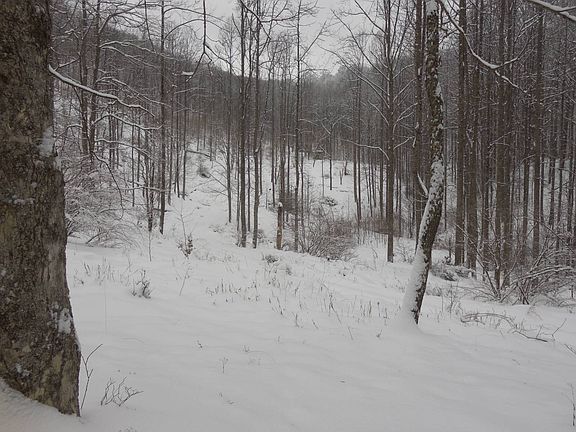 89th image of this home