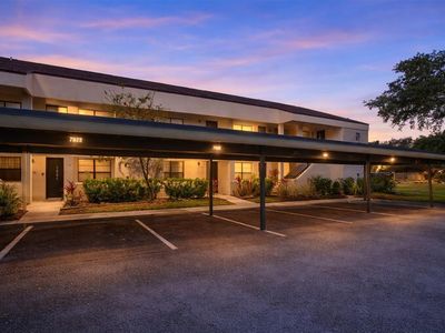 7830 Niagara Ave #303, Tampa, FL, 33617