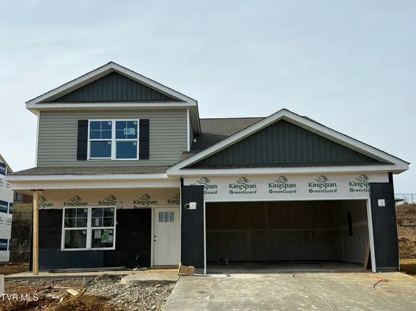 233 Artist Ave, Johnson City, TN 37615