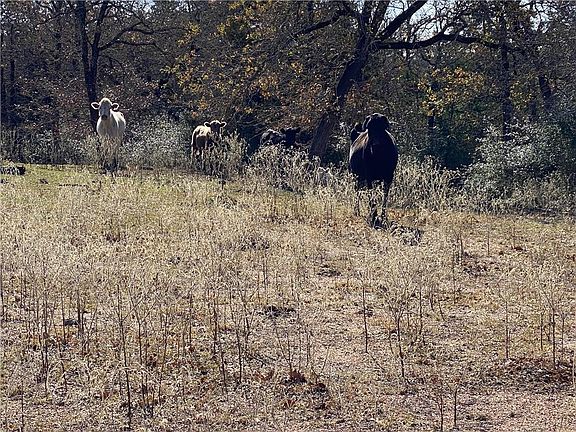 4th image of 4506 County Road 117