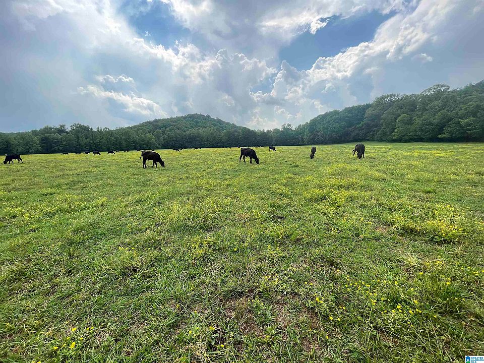 4054 Childersburg Fayetteville Hwy O, Childersburg, AL 35044 Zillow