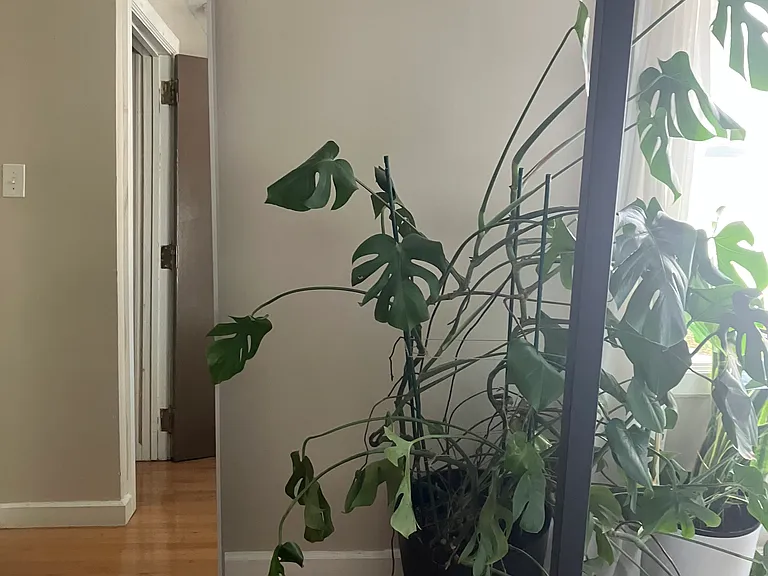 3839 Pearl St #2 — Photo 15
