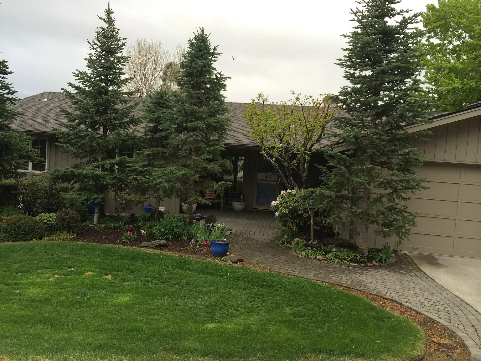 5812 Scenic Dr photo 1