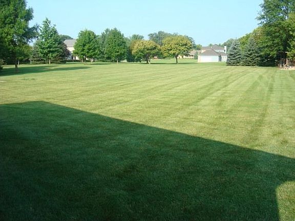 5th image of 6394 Wahl Ct