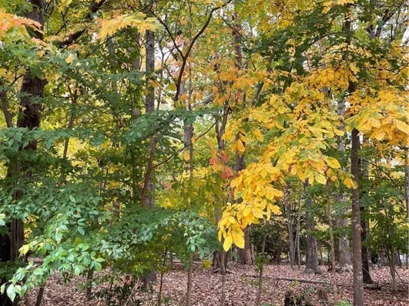 7206 Church Ln #80, Toano, VA 23168