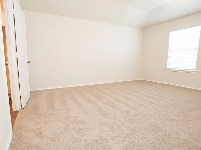 4811 Vogesite Path — Photo 7