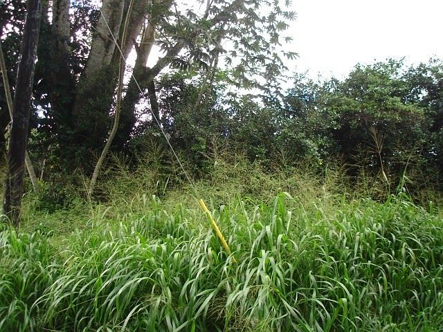 2nd image of Malolo St Lot 23
