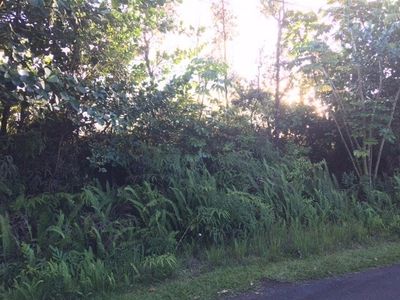 Kiawe Rd Lot 171, Keaau, HI, 96749