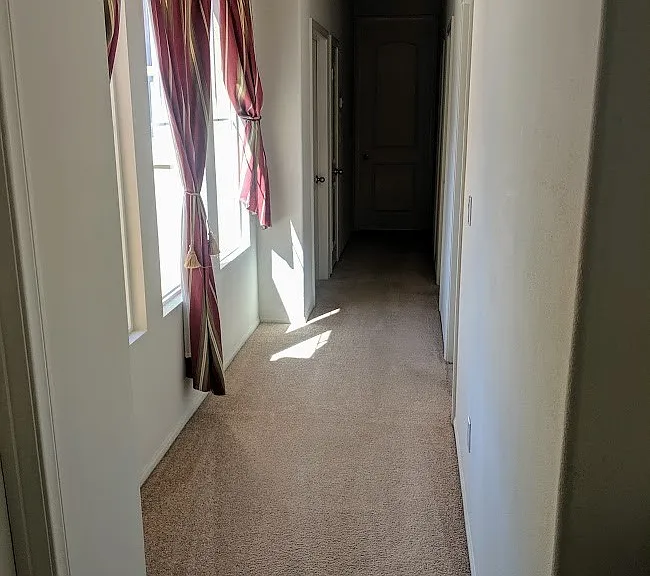 31842 Domenoe Way — Photo 8