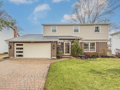 274 University Dr, Buffalo Grove, IL, 60089