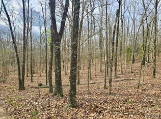0 Highway Cc Tract #B, Licking, MO 65542