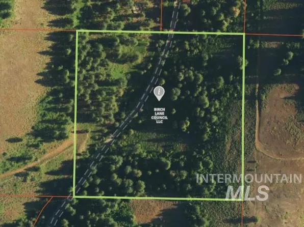 Birch Ln, Council, ID 83612