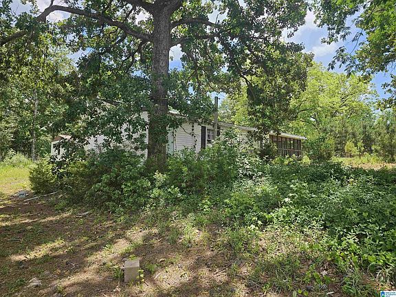 3rd image of 686 County Road 121