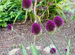 80 Cross St, Bridgewater, MA 02324