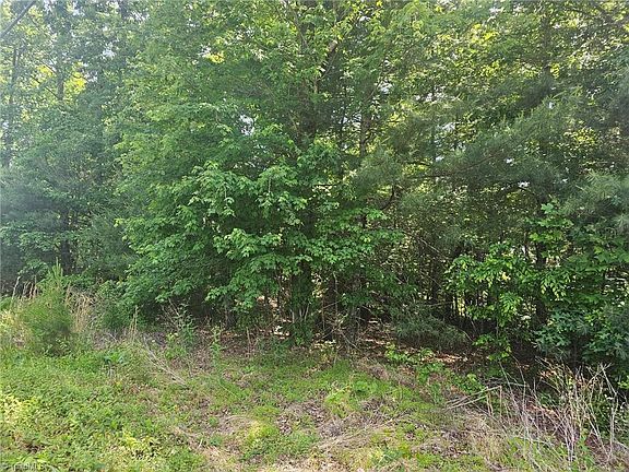 3rd image of LOT 1 Ashland Ln