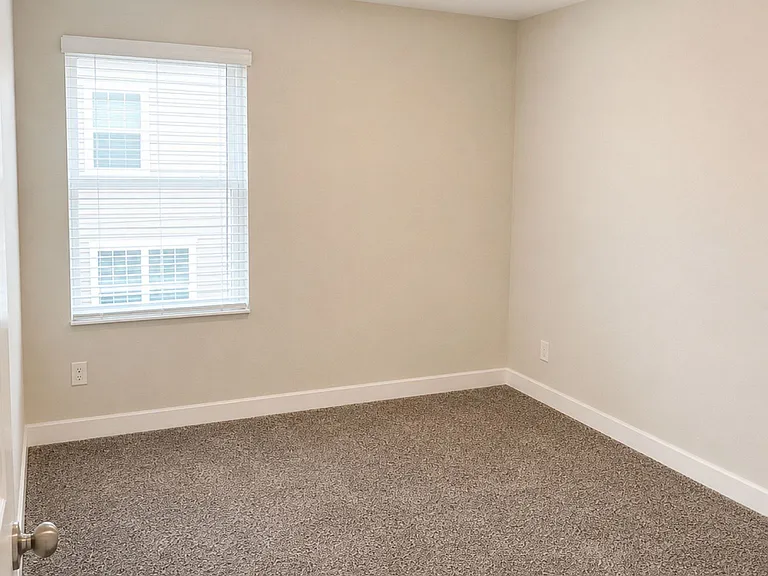 4419 Millennium Ave — Photo 23