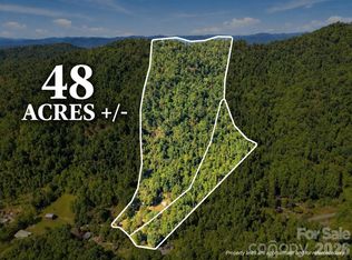 360 Poverty Branch Rd, Barnardsville, NC 28709