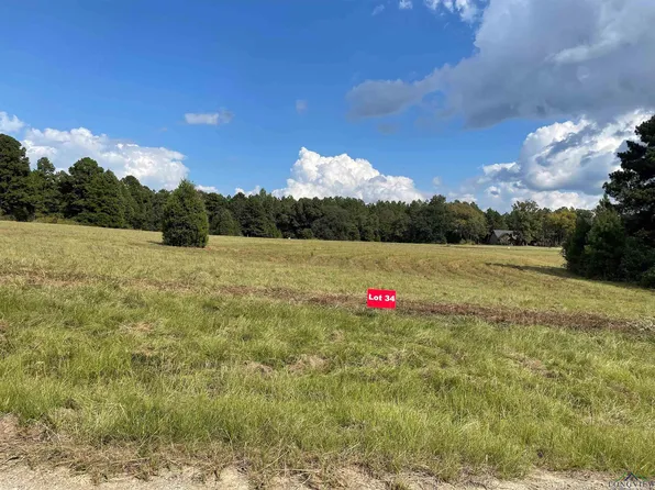 34 County Road 2204d & Dm #1797, Tatum, TX 75691