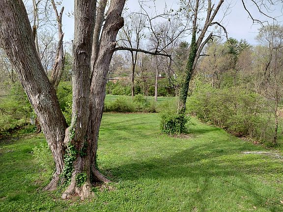 Large yard