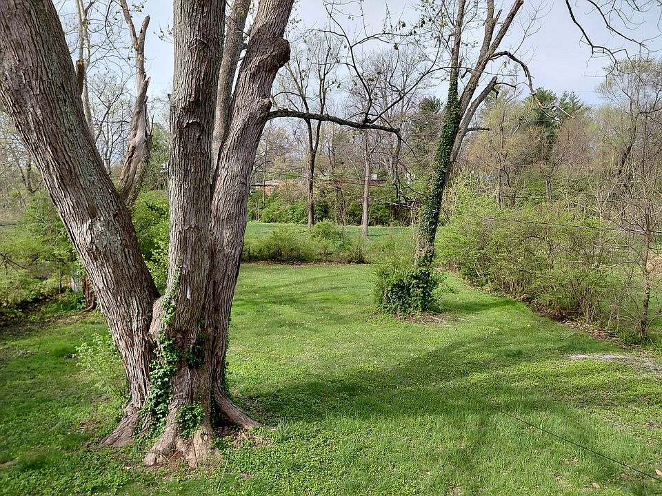 Large yard