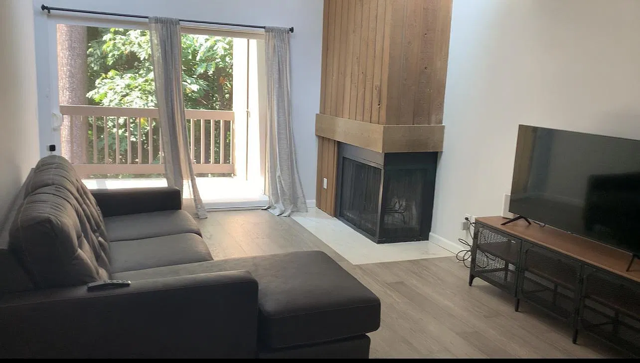 1 bed, 716 sqft, $2,350 — Photo 2