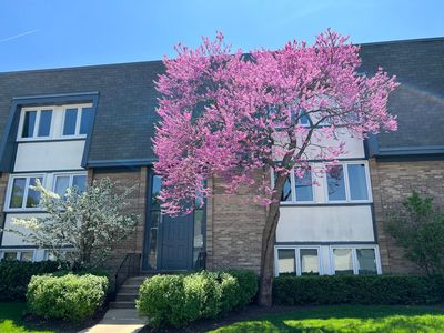2009 Ammer Ridge Ct UNIT 202, Glenview, IL, 60025