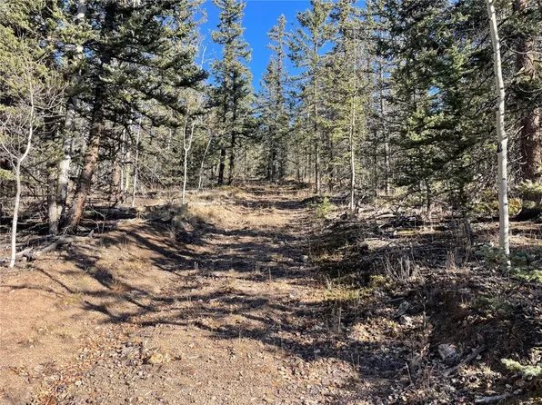 578 Quiver Road, Como, CO 80432
