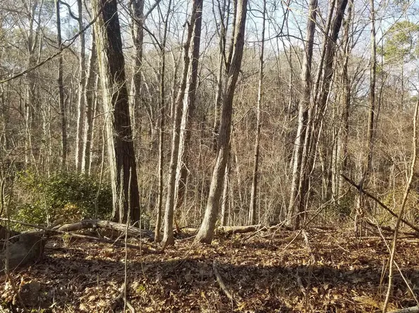 0 Bobwhite Ct, Monticello, GA 31064