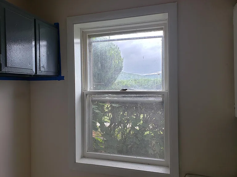 449 Canisteo St #102 — Photo 3