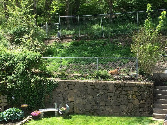 Dog Lot in Backyard