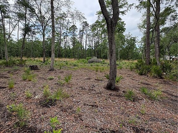 4th image of 0 Piney Bluff Rd