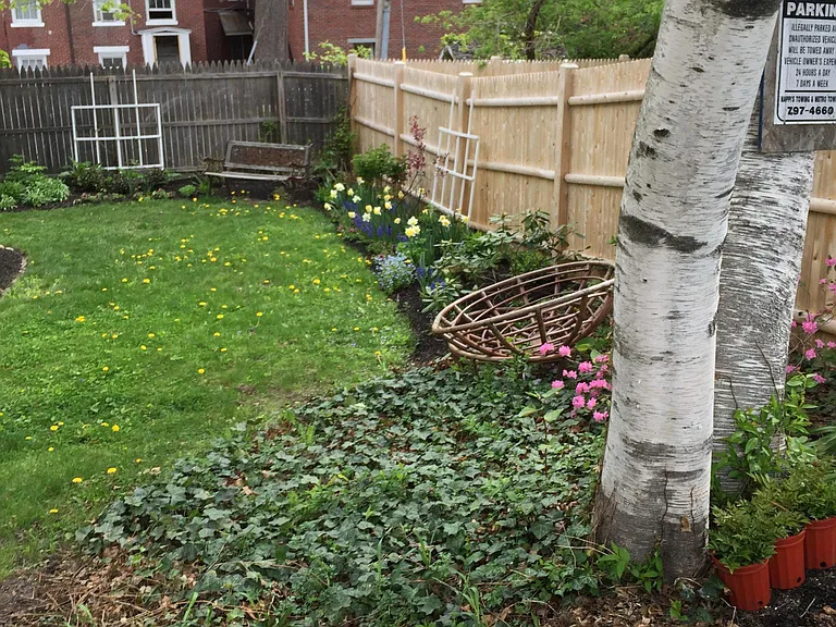 156 Danforth St #3 — Photo 6